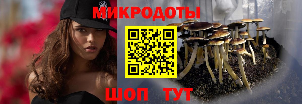 Галлюциногенные грибы мухоморы  Псилоцибиновые грибы Psilocybine cubensis  Сертолово  Вход с VPN 